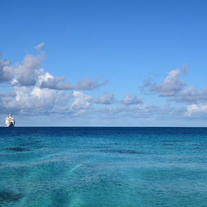 xviedioes亚洲入囗
